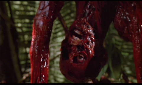 Predator movie the face of one of the bloody corpses handing upside down from the trees